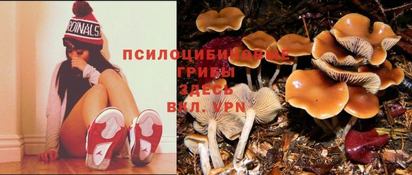 прущие крисы Пролетарск