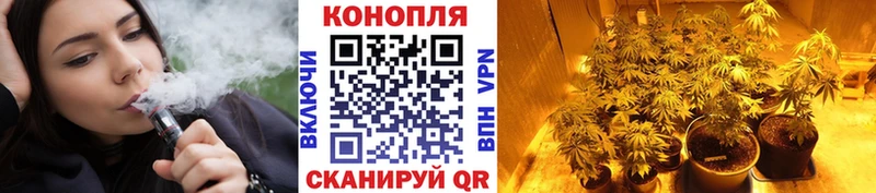 купить Баймак Шишки марихуана VHQ